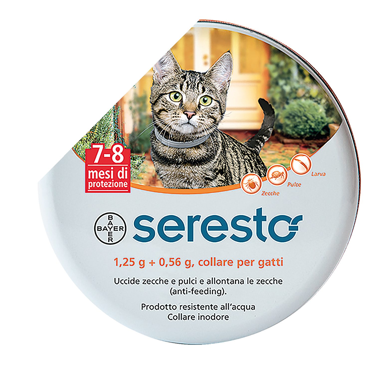 1,25 g + 0,56 g, collare per gatti