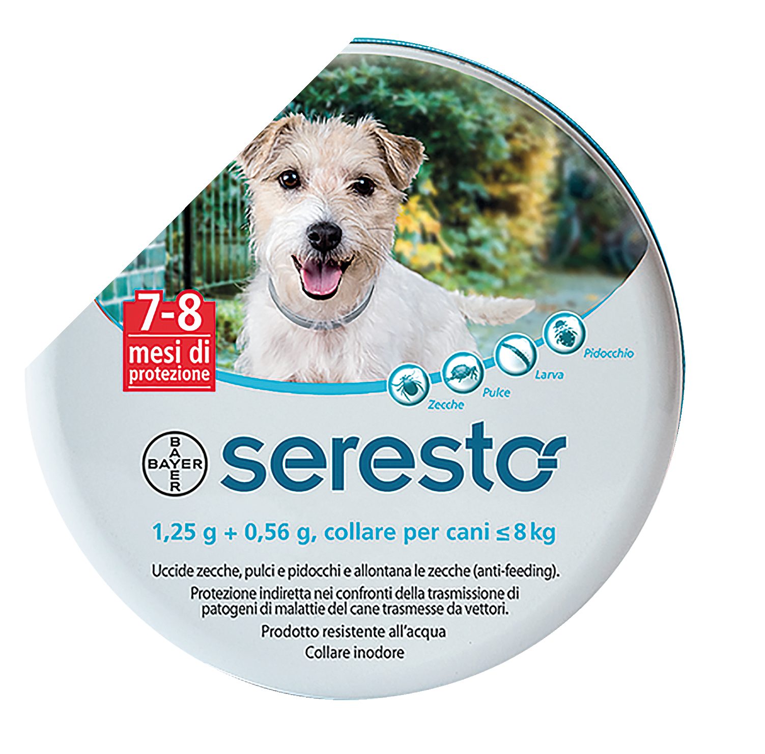 1,25 g + 0,56 g, collare per cani ≤ 8 kg