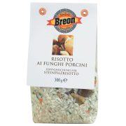 Risotto con porcini