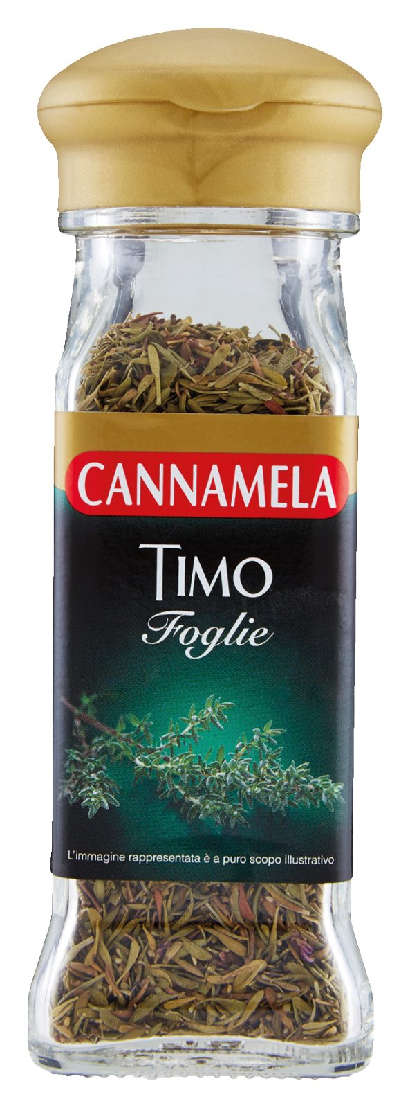 Timo foglie