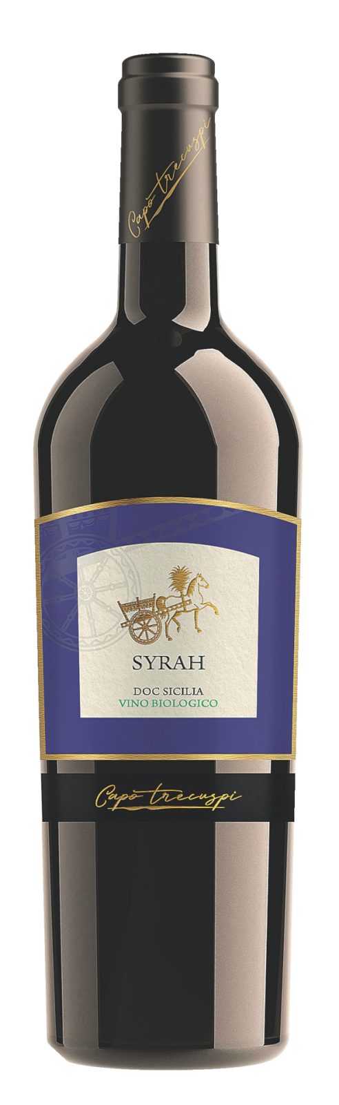 Rotwein Syrah Sizilien DOC Bio Capo Trecuspi