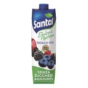 Succo senza zuccheri aggiunti bosco mix