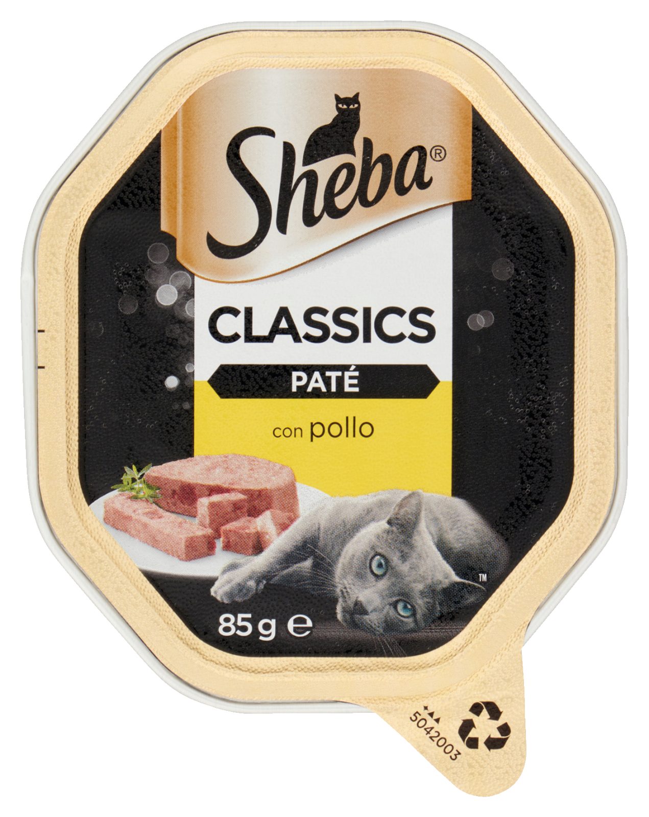 Patè per gatto con pollo