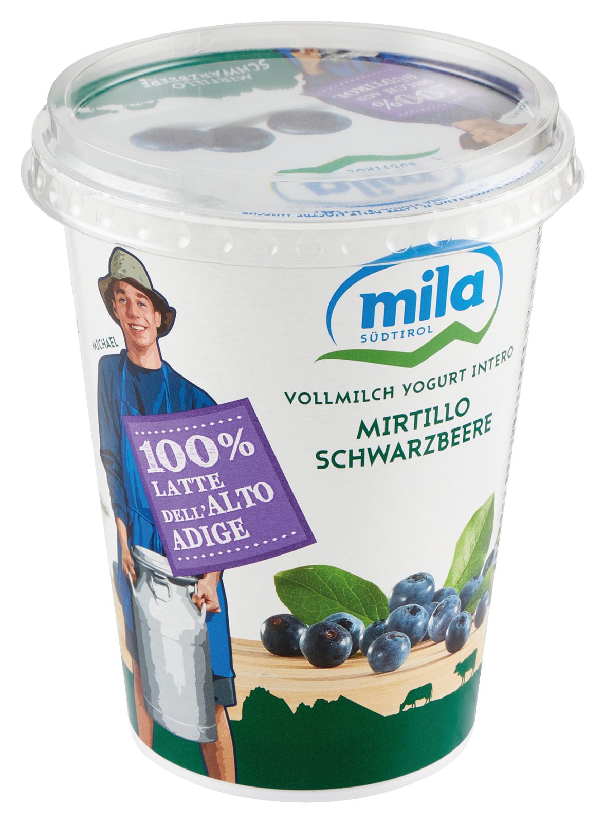 Joghurt Heidelbeere