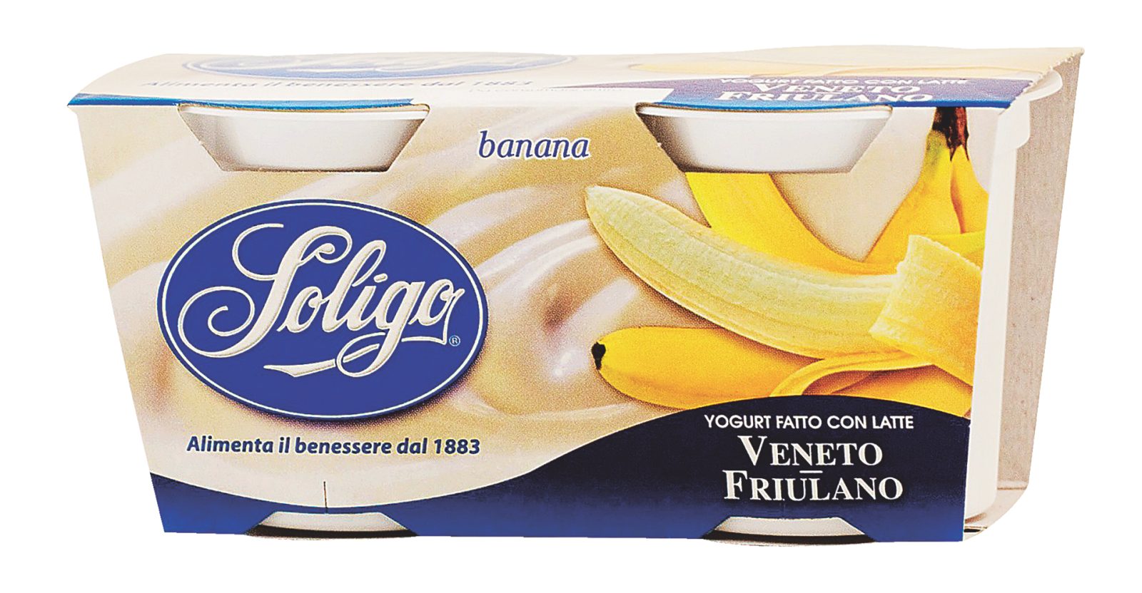 Yogurt Intero Banana