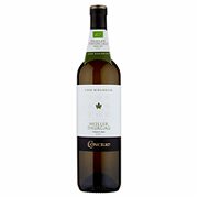 Bio-Weißwein Müller Thurgau DOC Concilio