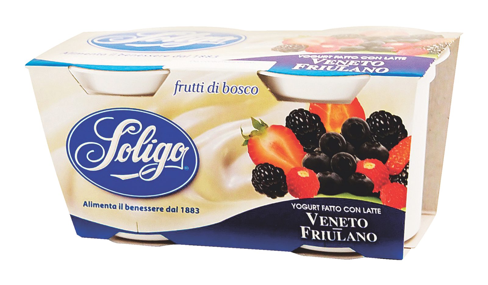2 Yogurt intero Frutti di Bosco