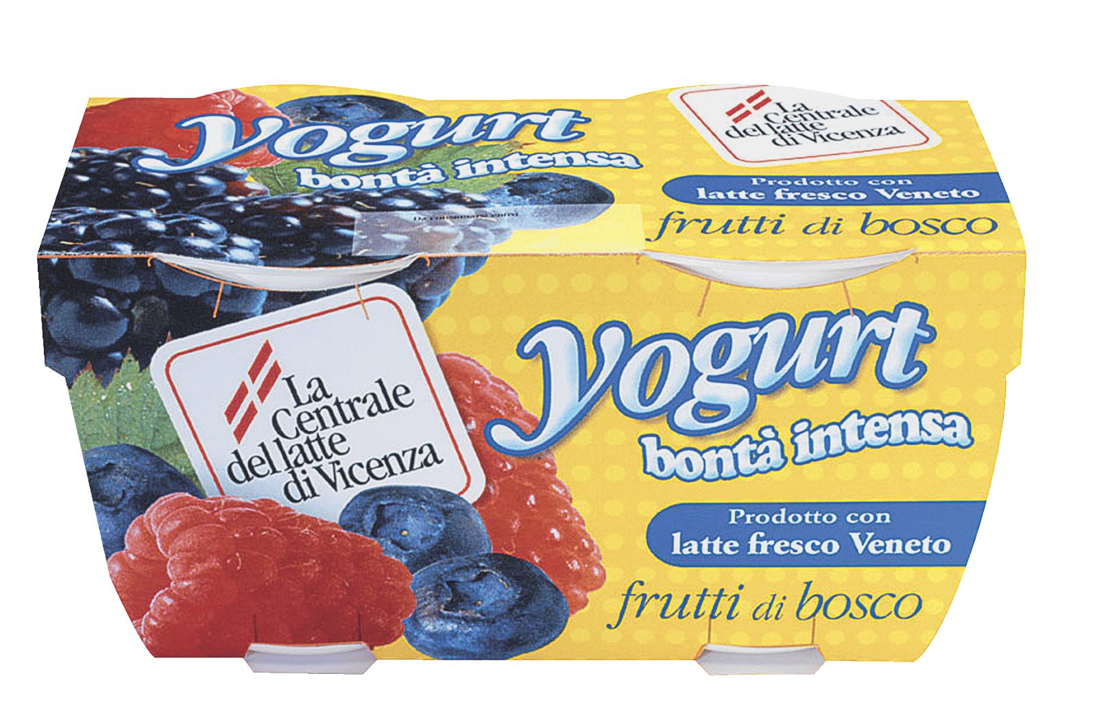 Yogurt con Frutti di Bosco