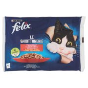 Katzenfutter Ghiottonerie