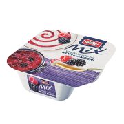 Yogurt bianco con more e lamponi