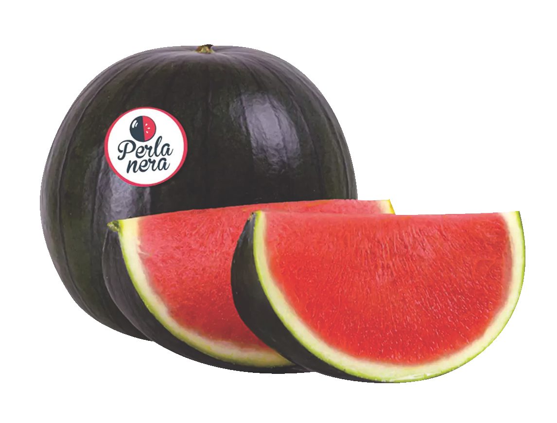 Angurie Perla Nera