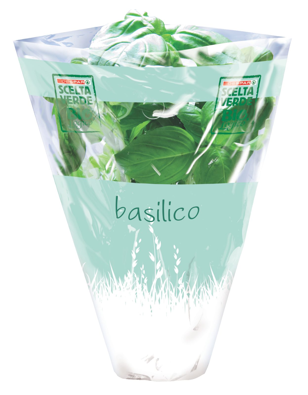 Basilico
vaso ø cm 10