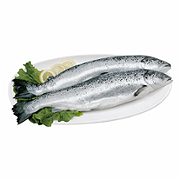 Salmone fresco