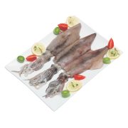 Calamaro Atlantico
decongelato