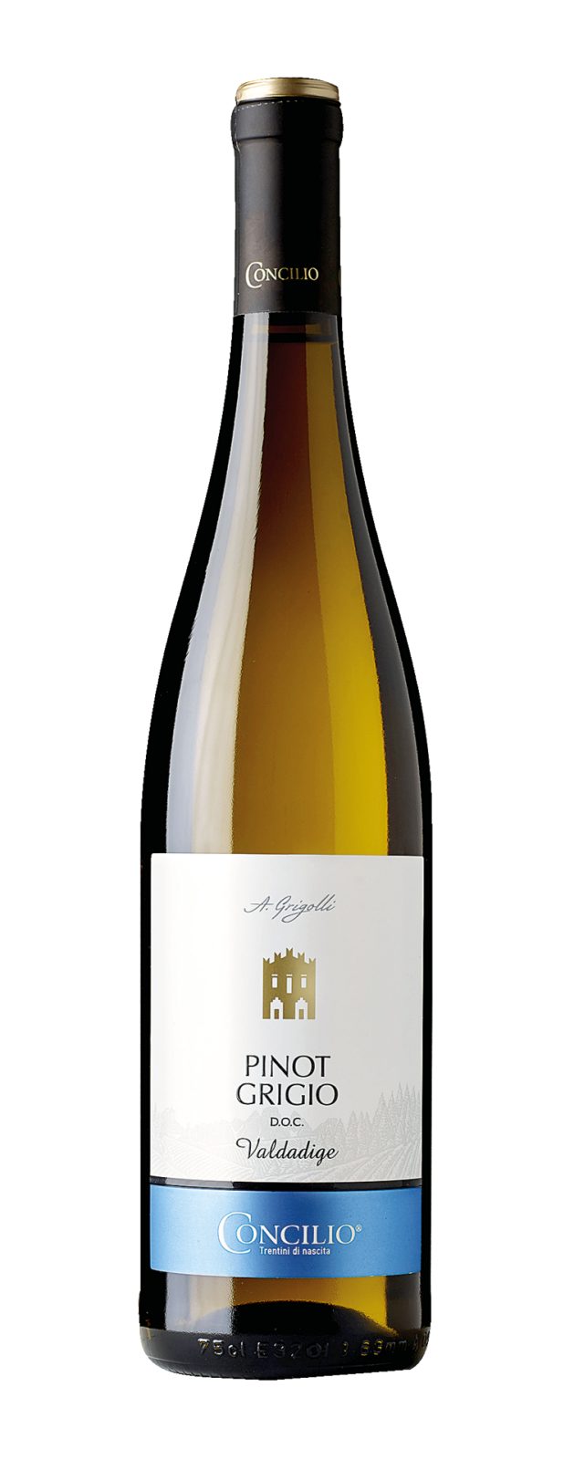 Pinot grigio 
DOC