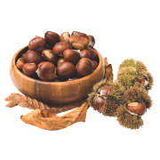 Castagne - 