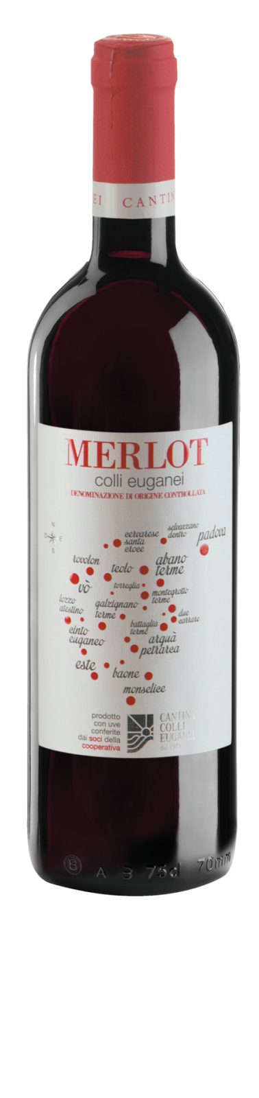 Merlot DOC 