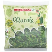 Rucola