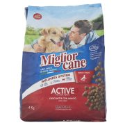 Crocchette per cane Active