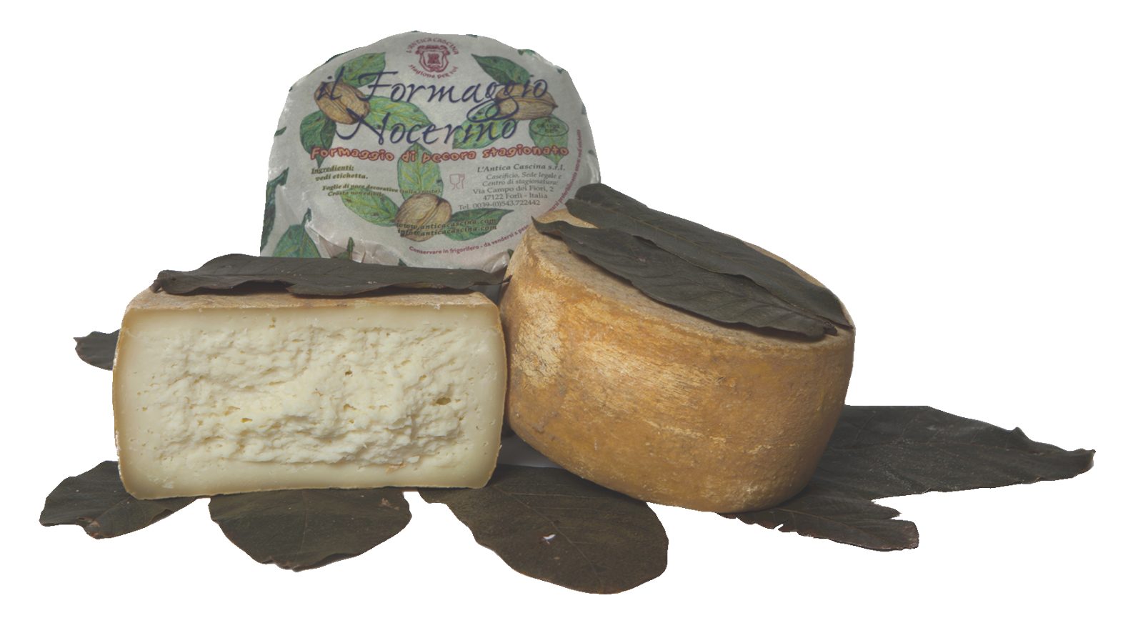 Schafskäse Nocerino Caseificio L'antica Cascina