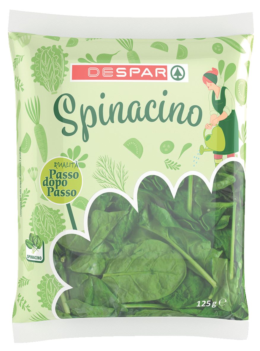 Spinacino