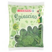 Spinacino