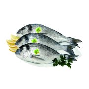 Orata
