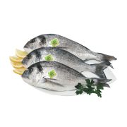 Orata
