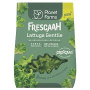 Lattuga Gentile Frescaah