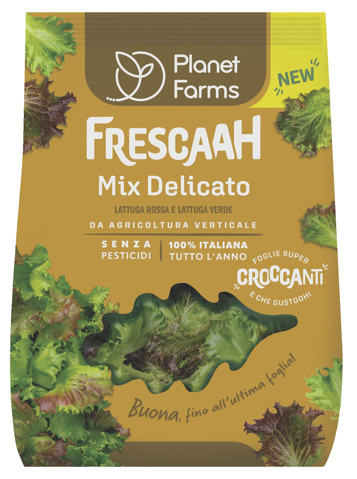 Mix Delicato Frescaah