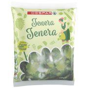 Salat Tenera Tenera