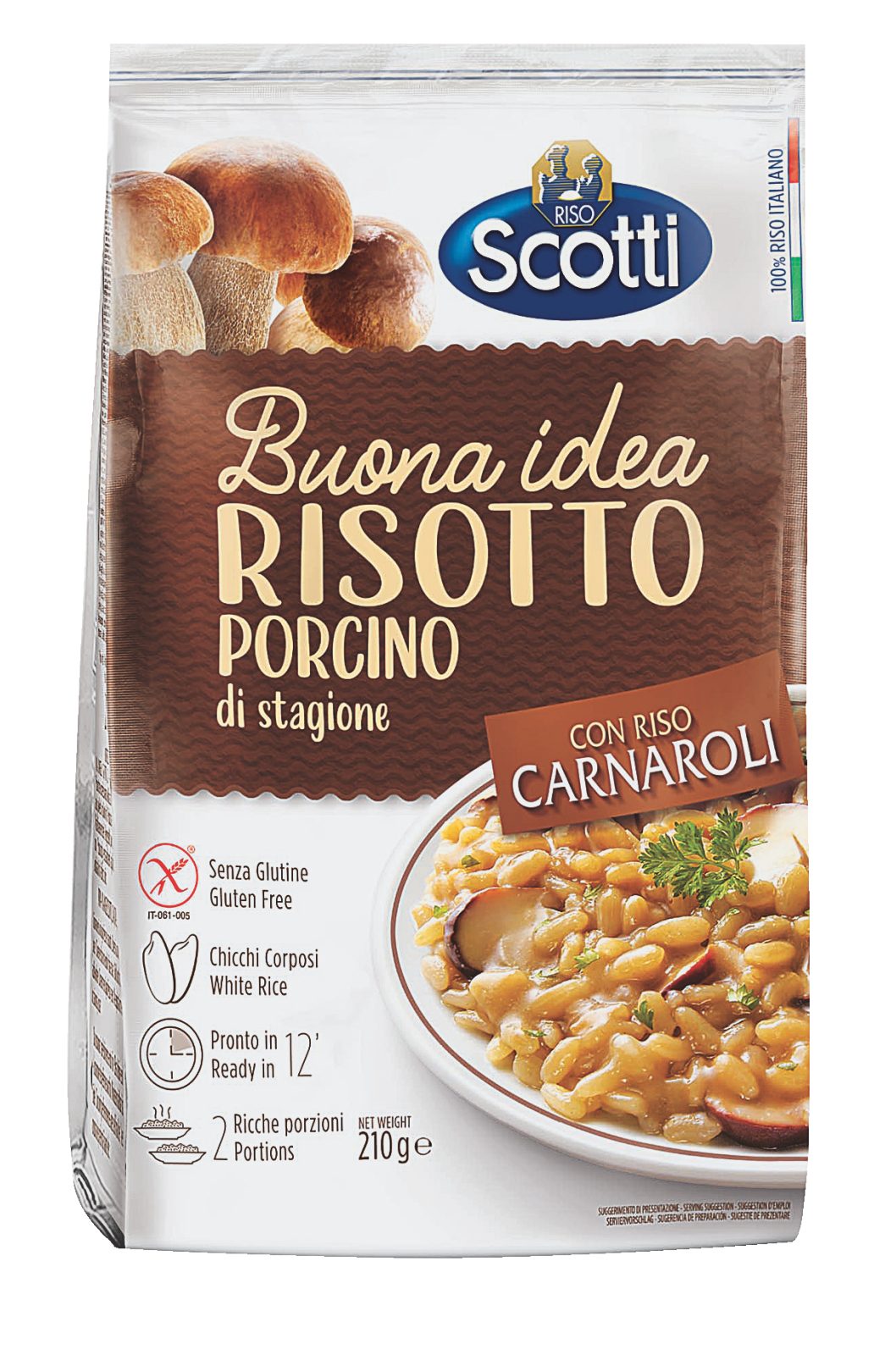 Risotto al Porcino