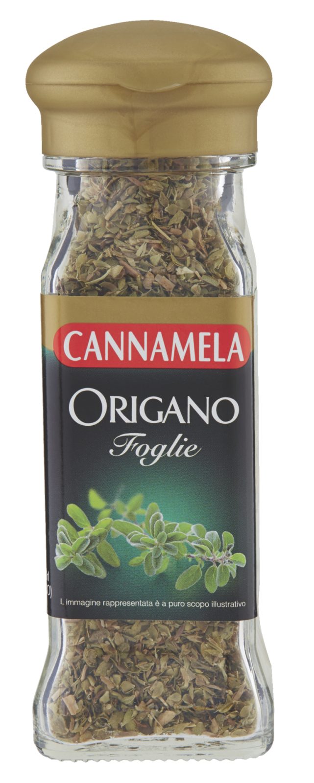 Origano foglie