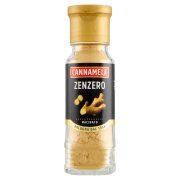 Zenzero Macinato