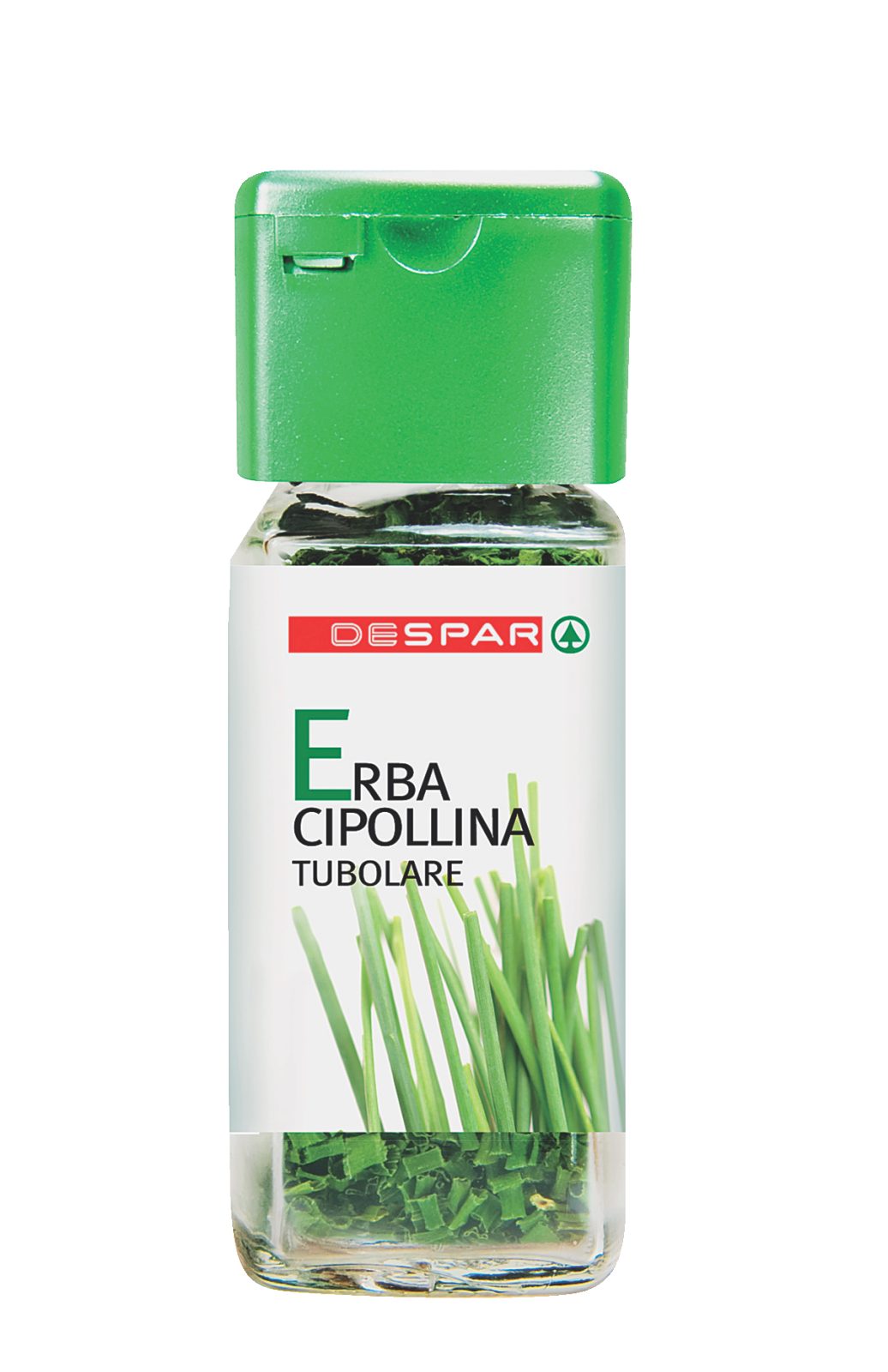 Erba Cipollina Tubolare