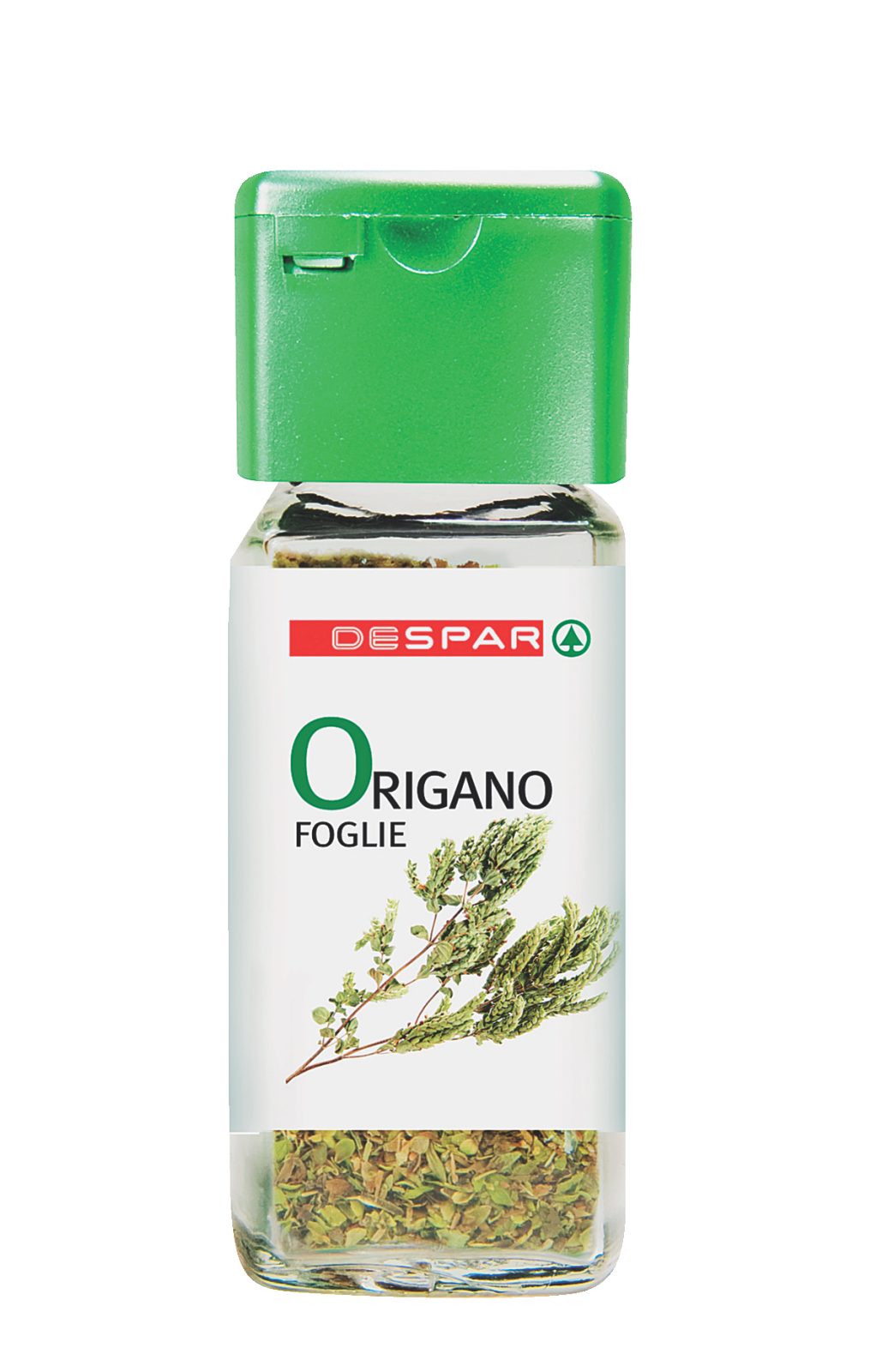 Origano Foglie