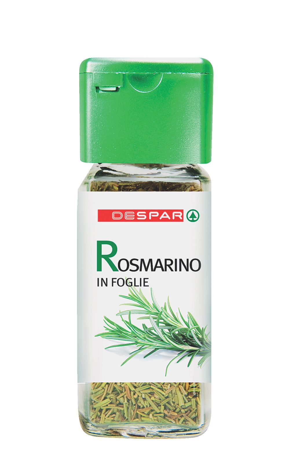 Rosmarino in Foglie