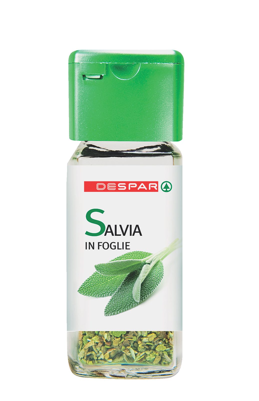 Salvia in Foglie