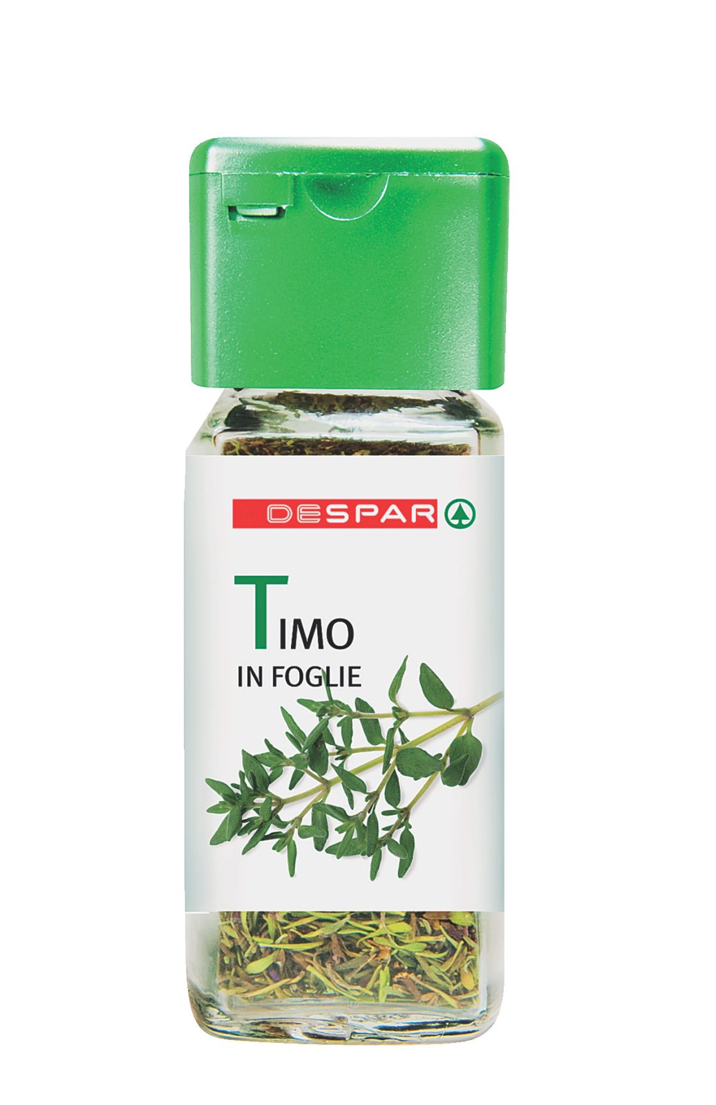 Timo in Foglie