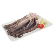 Tentacoli di Totano decongelati