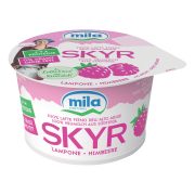 Skyr Heidelbeeren