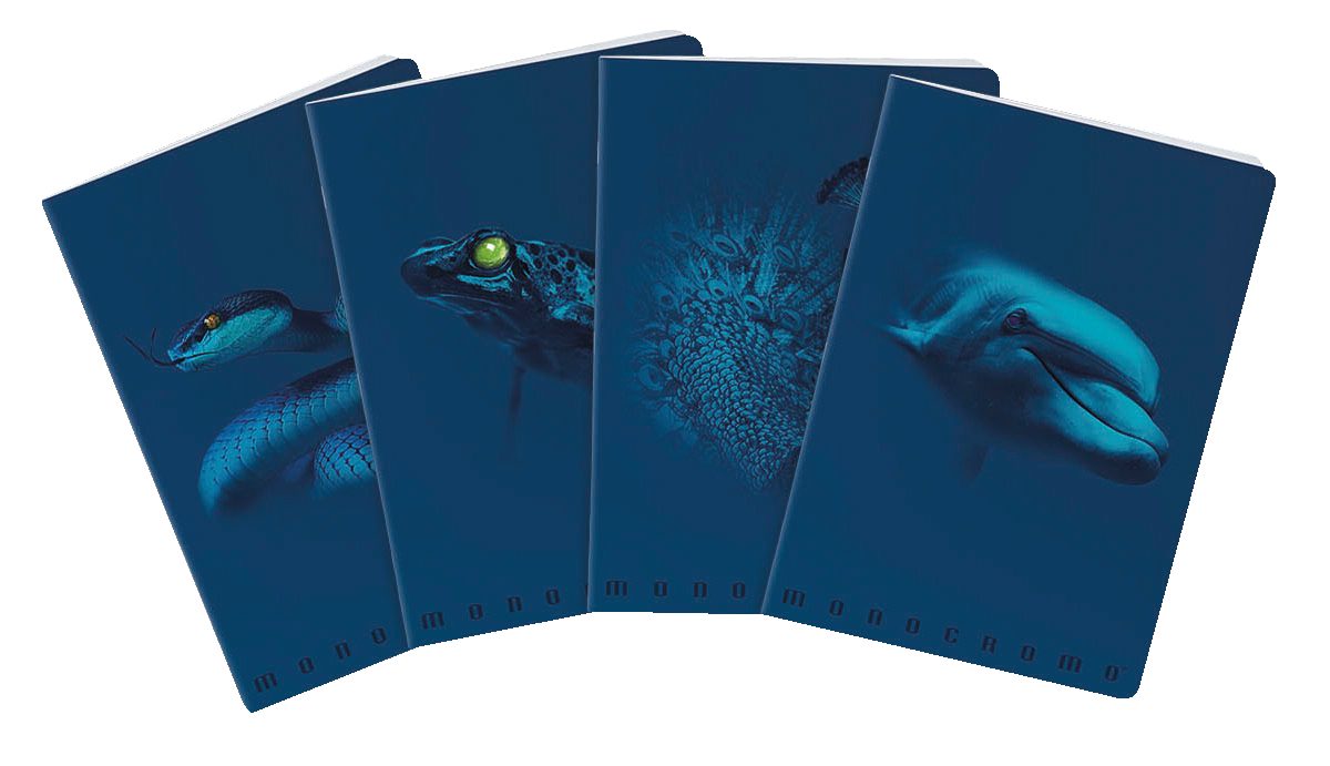 Maxi Quaderno Blue