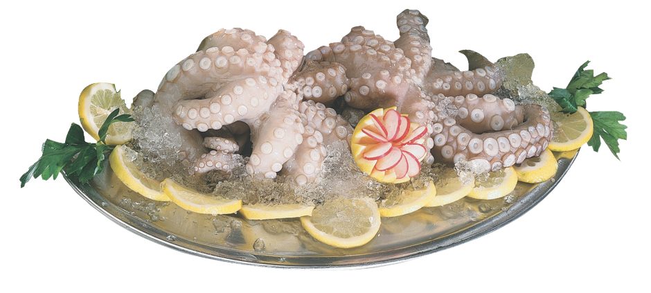 Polpo pulito decongelato