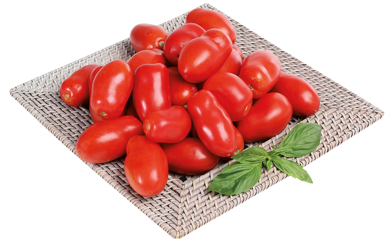 Pomodoro da sugo