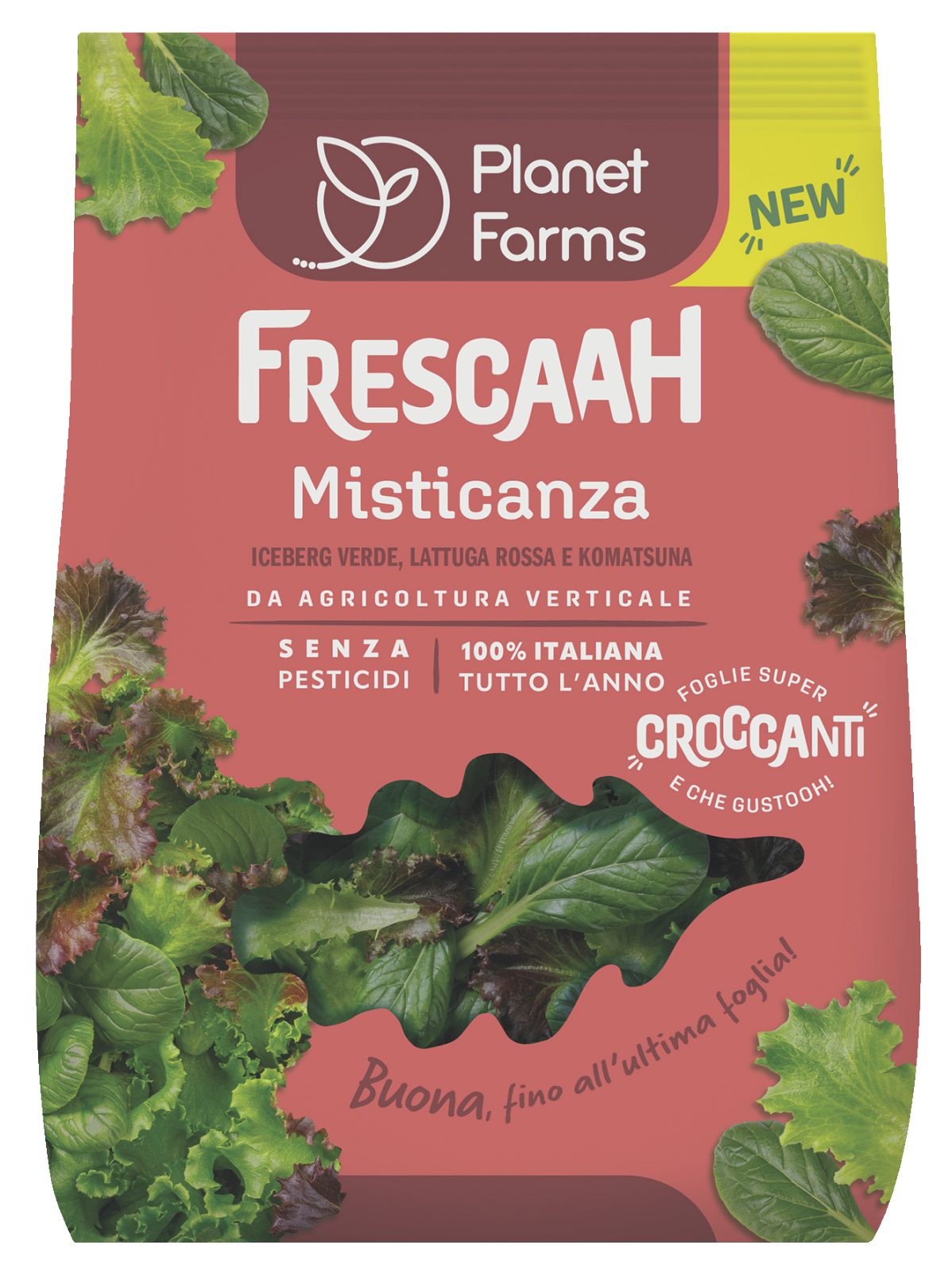 Misticanza Frescaah