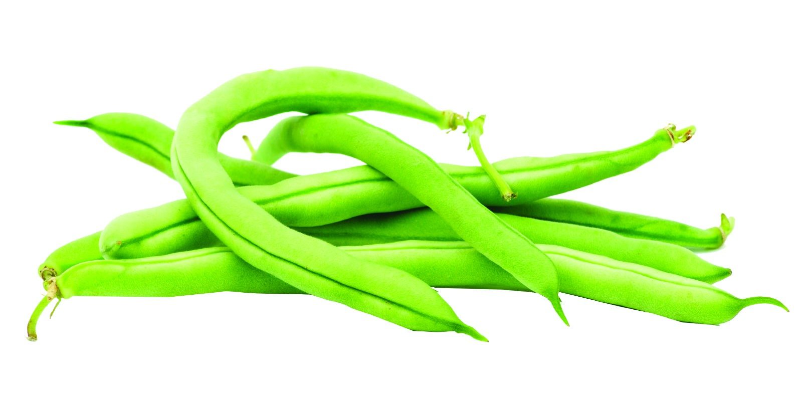 Fagiolini verdi