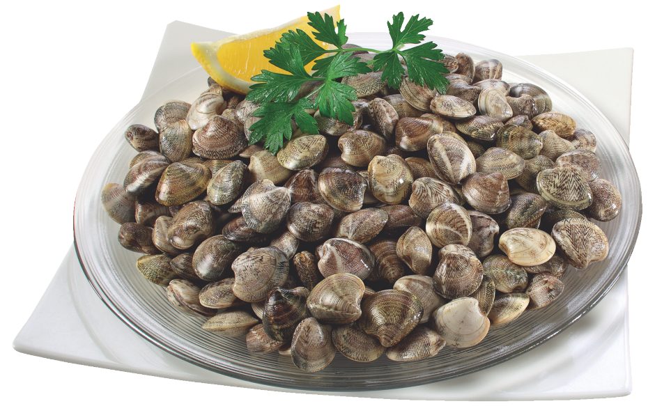 Vongole Lupino