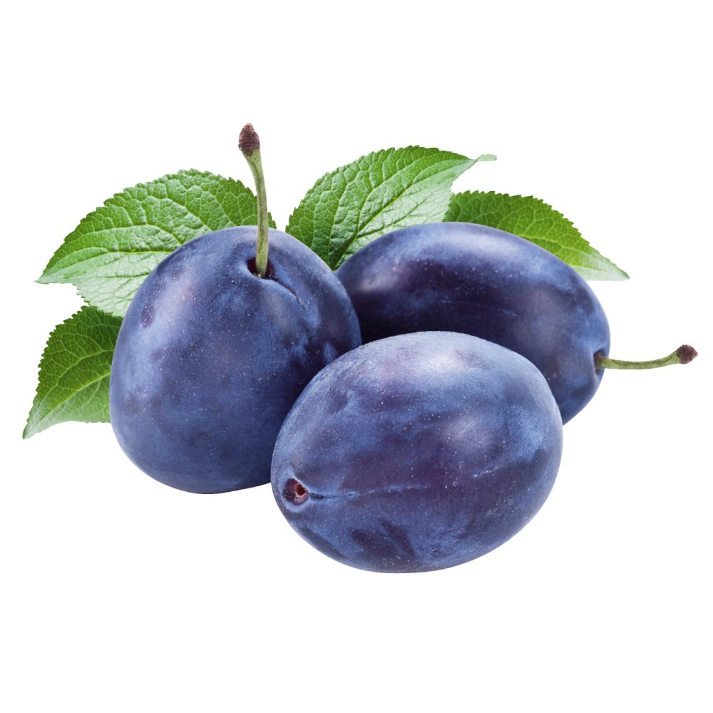 SLIVE, TEHTANO, ENOTA 1KG
