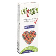 Slika produkta SADNI BONBONI GOZDNI SADEŽI, VITERGIN, 24G