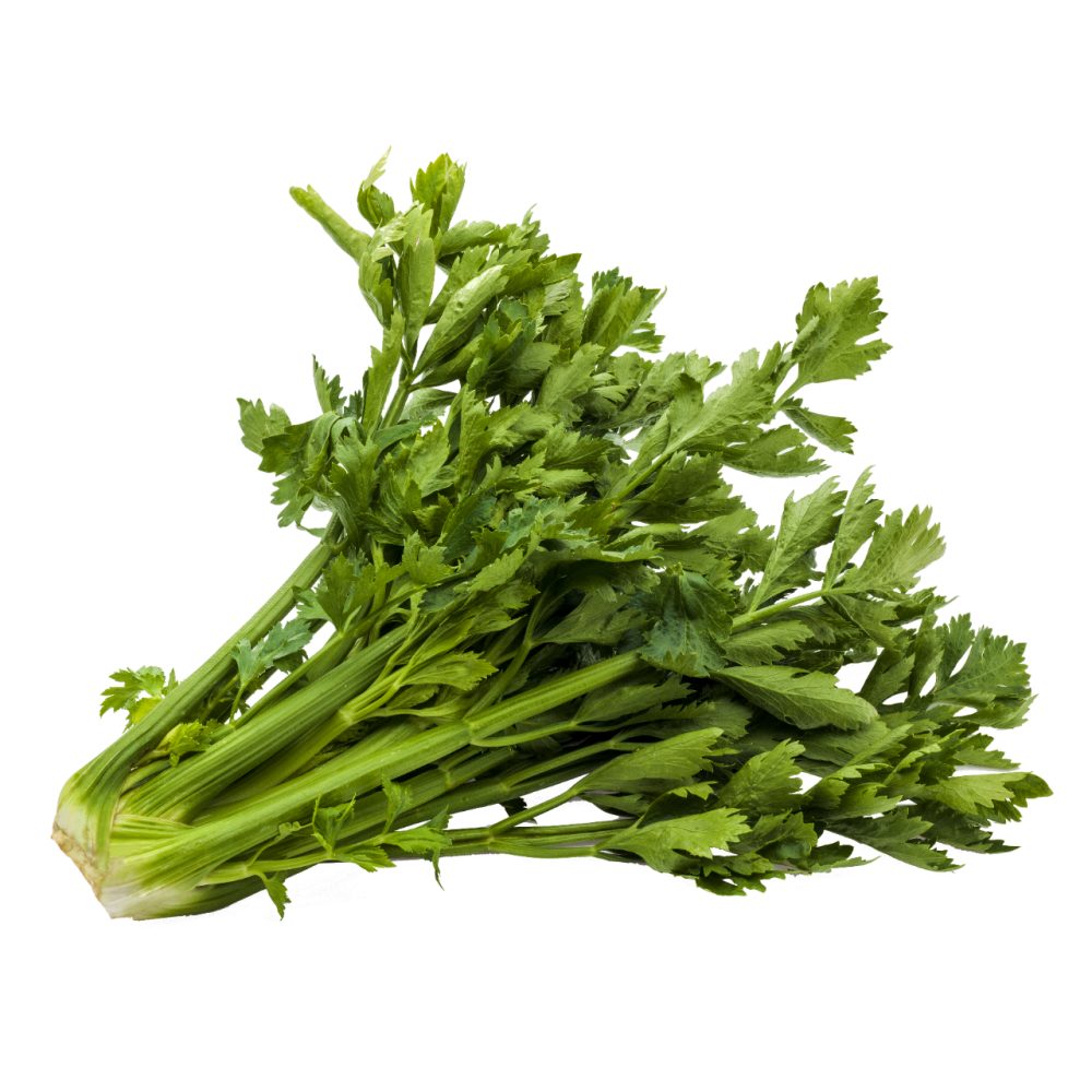 ZELENA STEBELNA